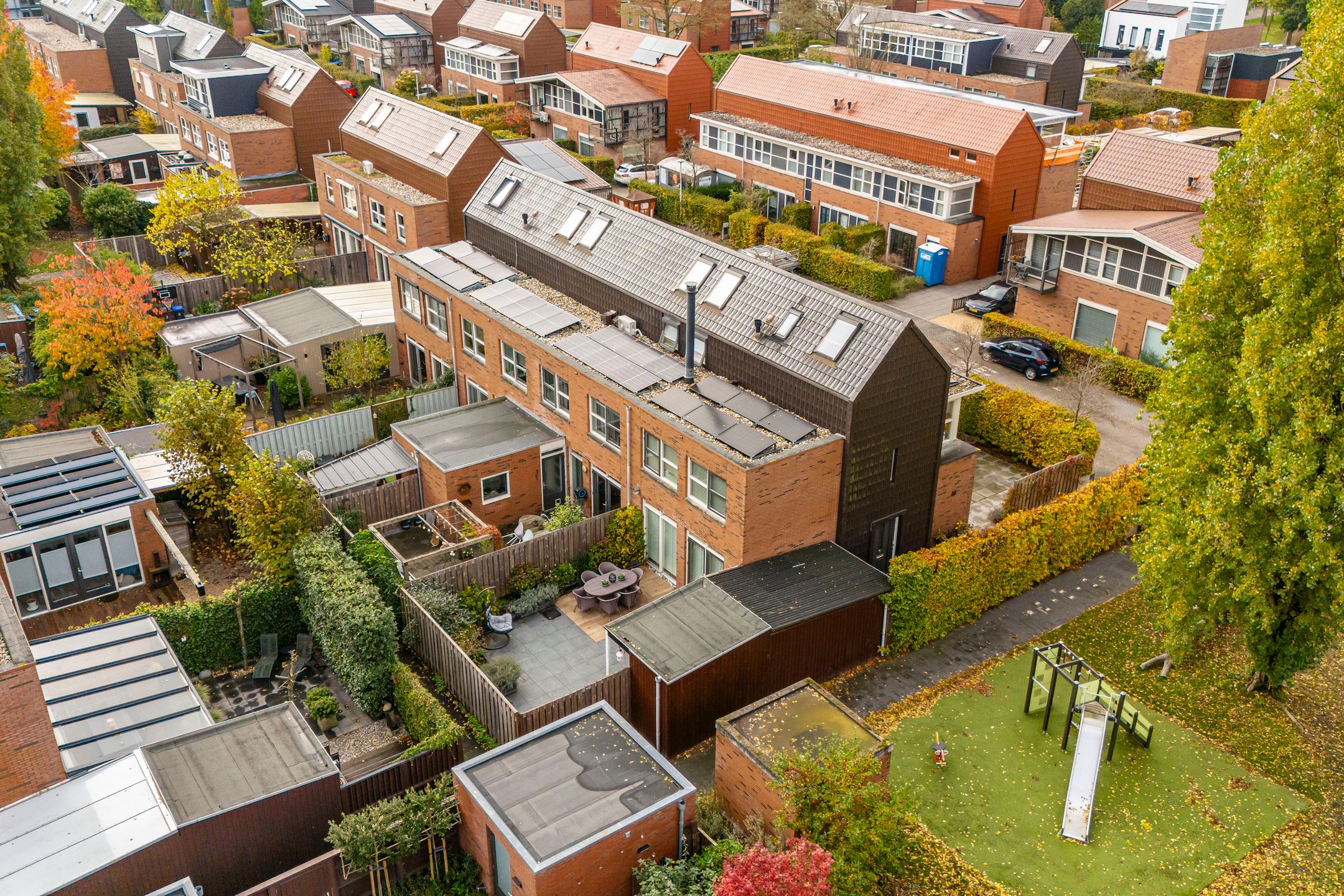 Foto 48 van Citroenvlinder 25