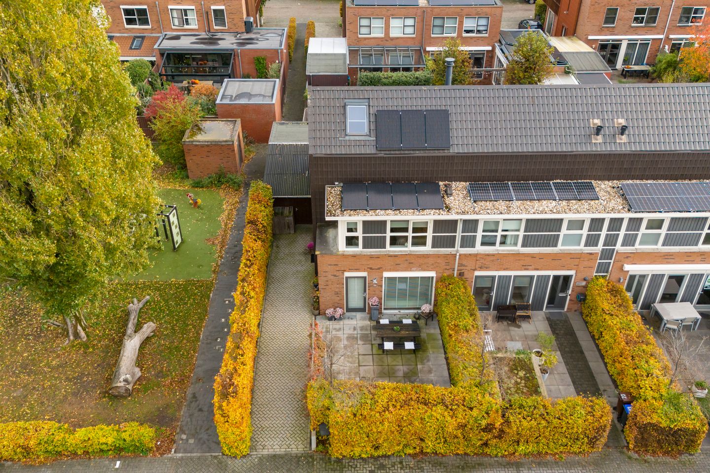 Foto 49 van Citroenvlinder 25