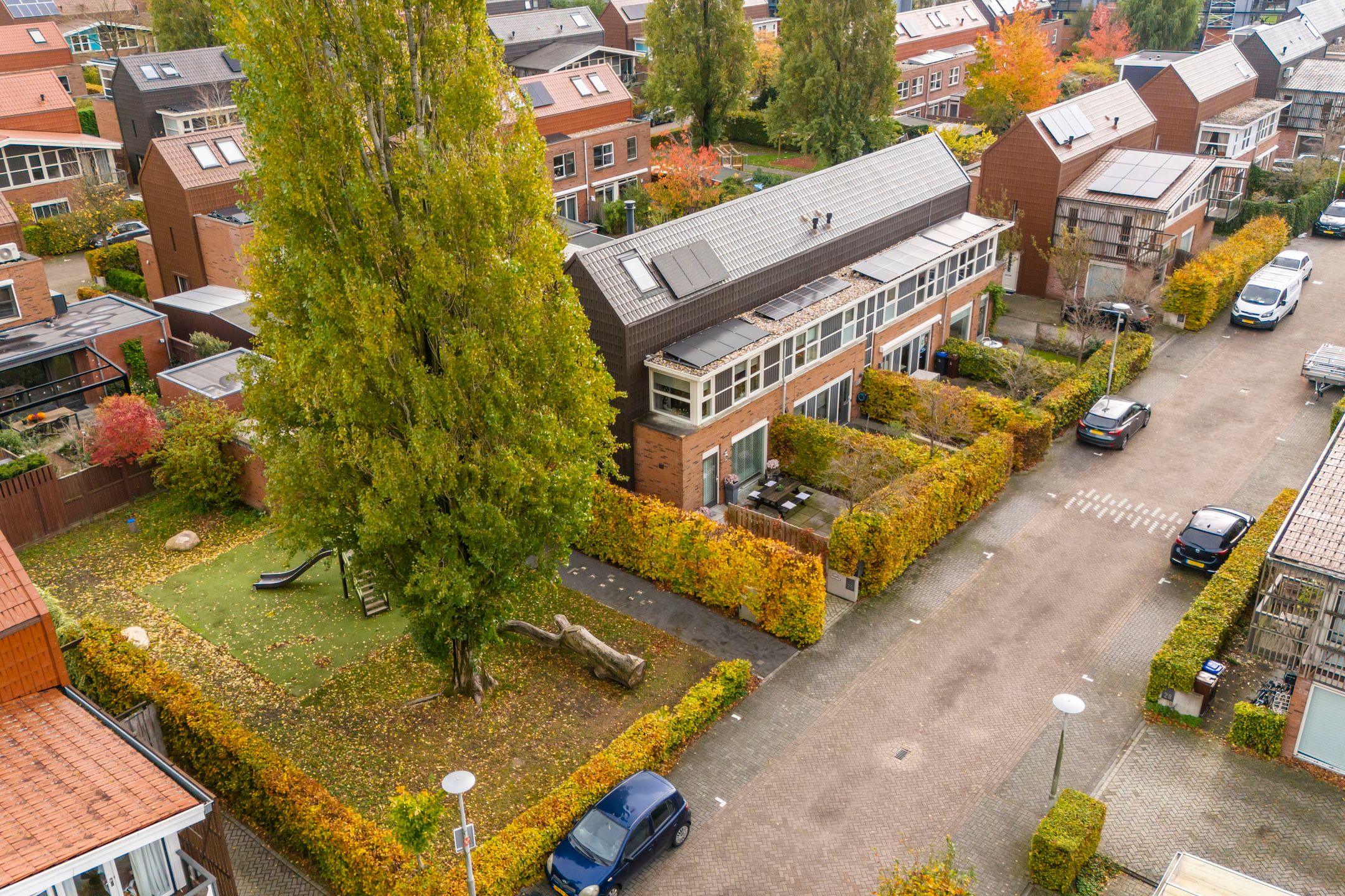 Foto 51 van Citroenvlinder 25