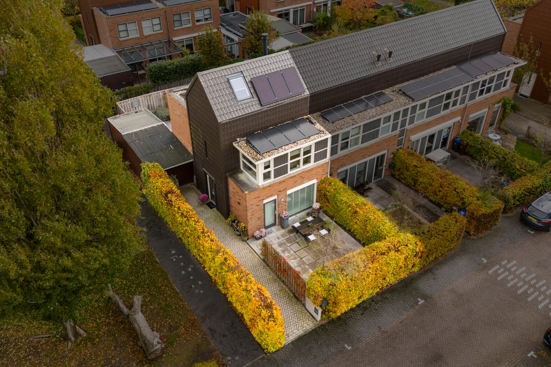 Foto 52 van Citroenvlinder 25