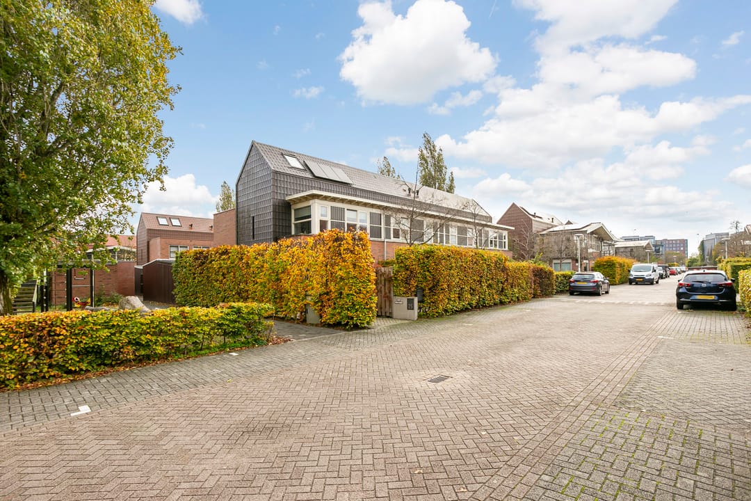 Foto 53 van Citroenvlinder 25