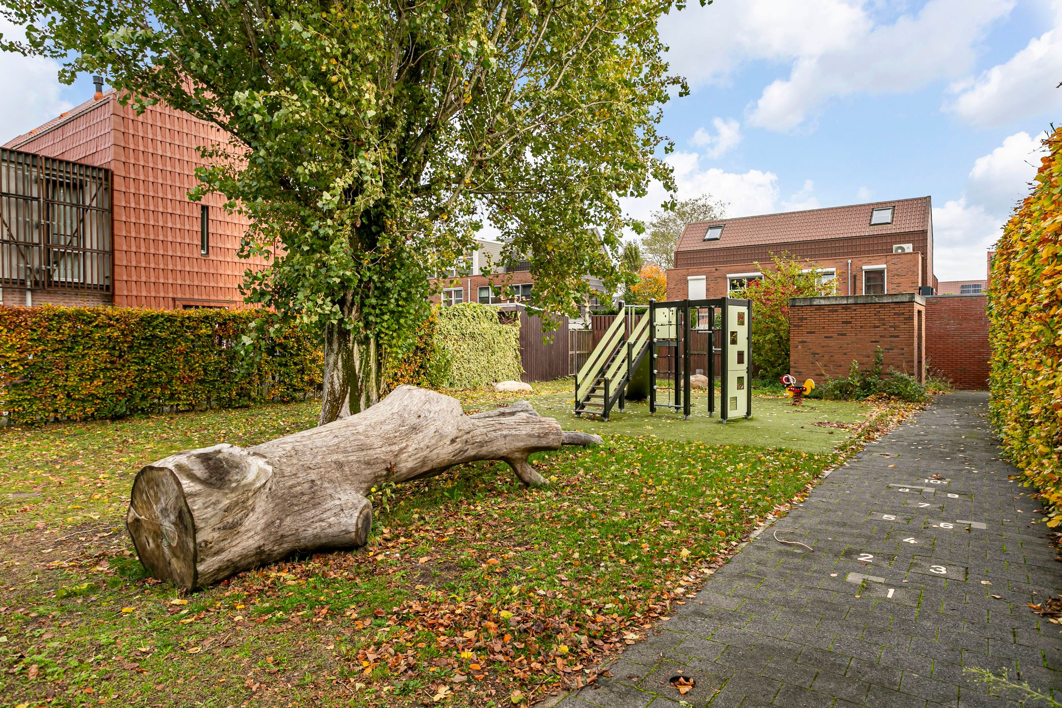 Foto 54 van Citroenvlinder 25