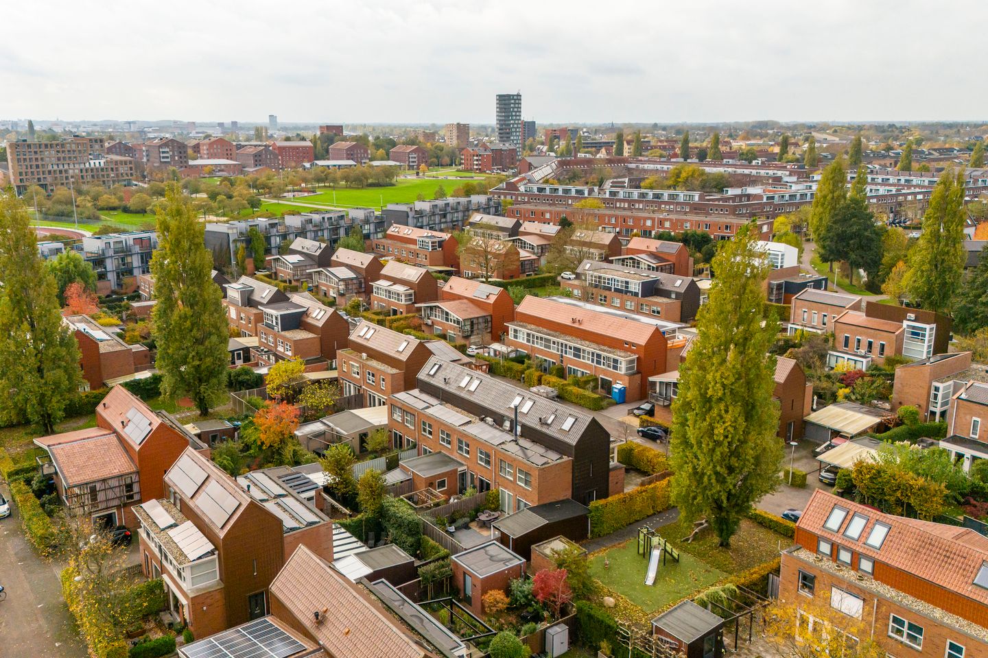 Foto 55 van Citroenvlinder 25