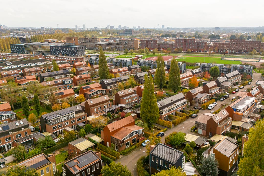 Foto 56 van Citroenvlinder 25