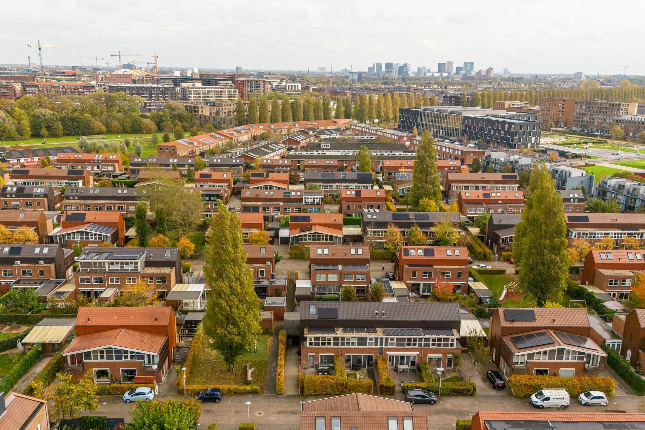 Foto 57 van Citroenvlinder 25