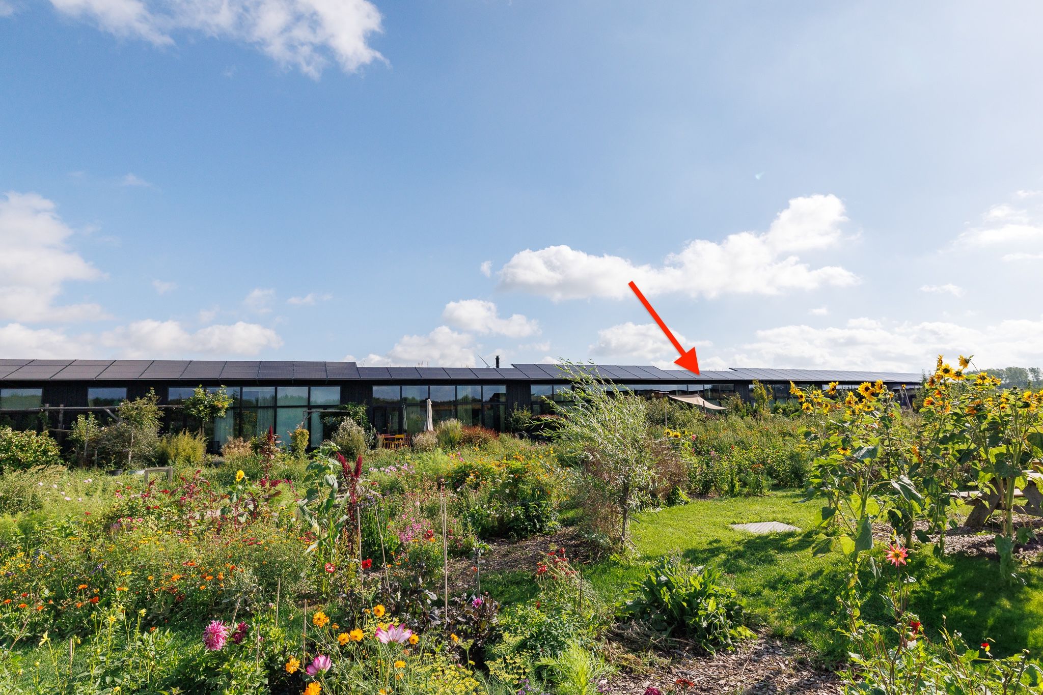 Oeverwalhof, 57, Almere, 1349JE, Flevoland, Nederland 57 