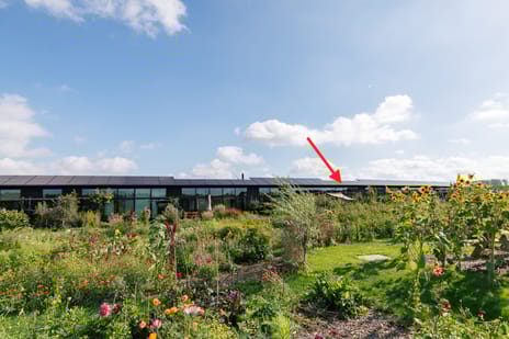 Oeverwalhof thumbnail