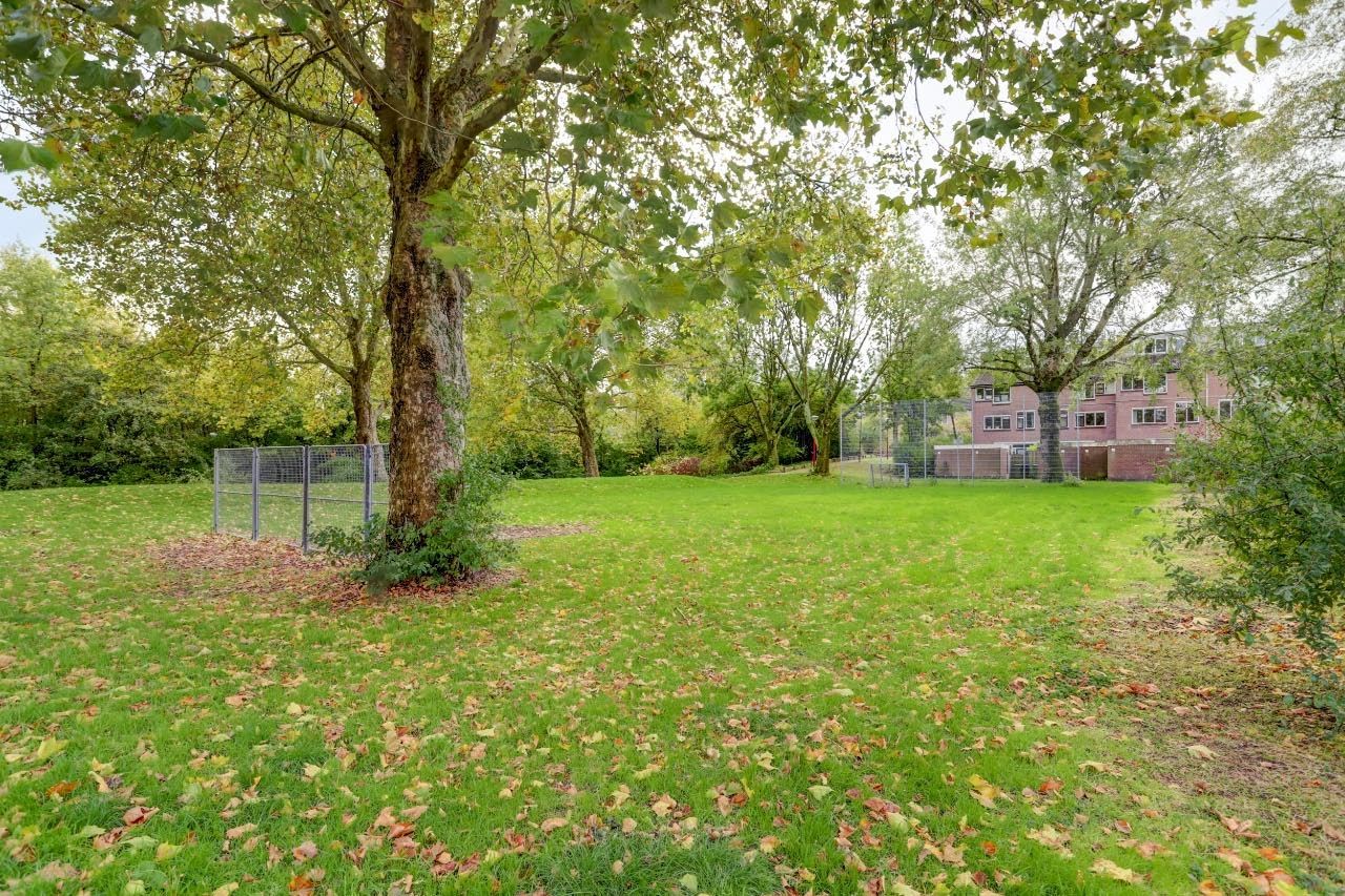 Foto 40 van Havezatedrift 21