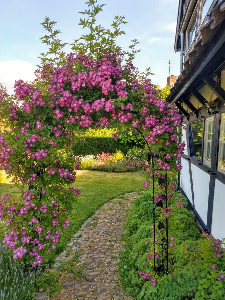 Foto 53 van Commandeurstraat 26