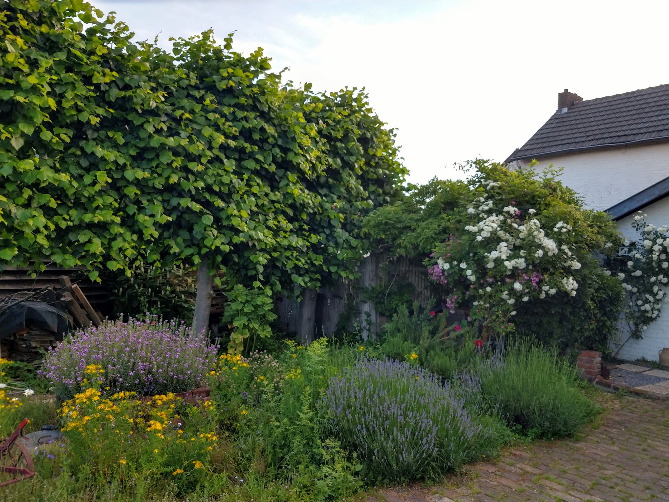 Photo 54 of Commandeurstraat 26