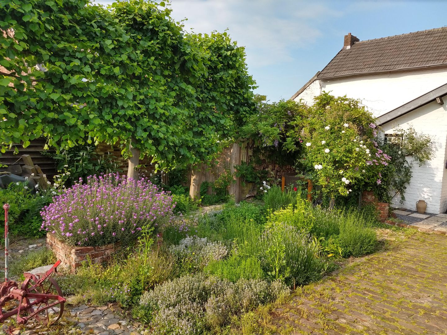 Photo 55 of Commandeurstraat 26