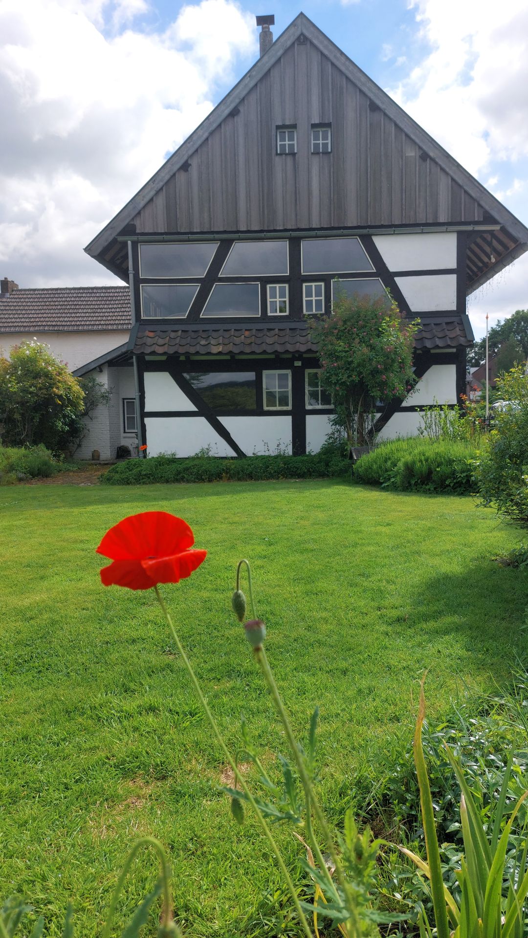 Photo 61 of Commandeurstraat 26