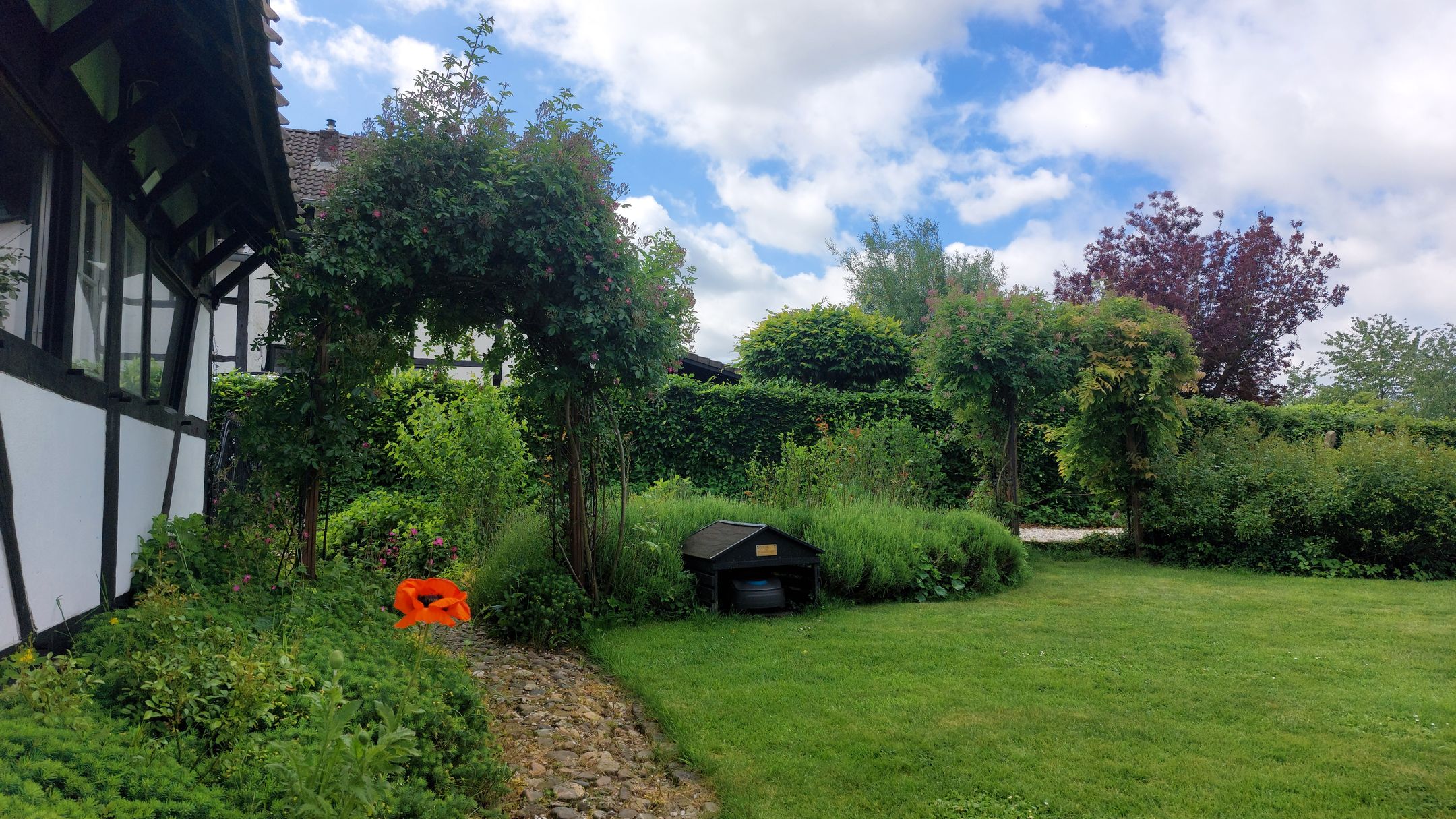 Photo 66 of Commandeurstraat 26