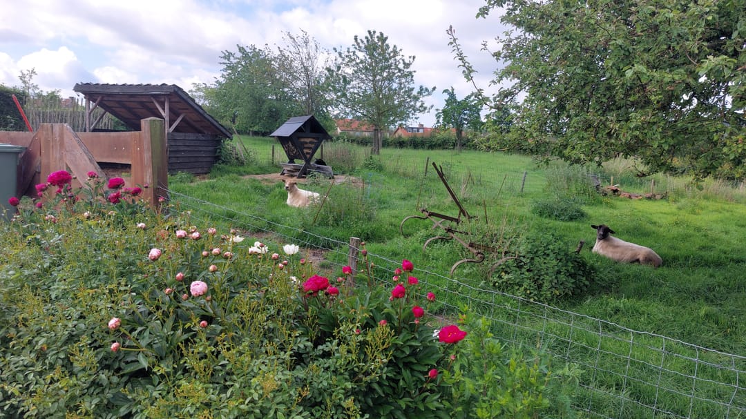 Photo 67 of Commandeurstraat 26
