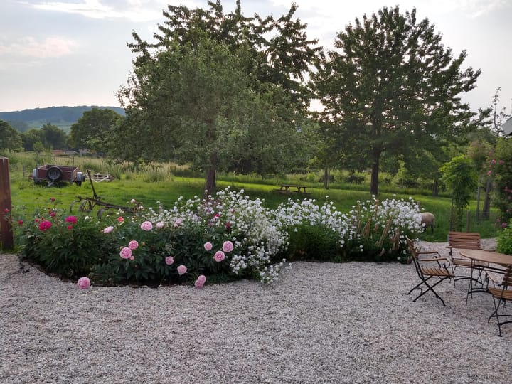 Foto 80 van Commandeurstraat 26