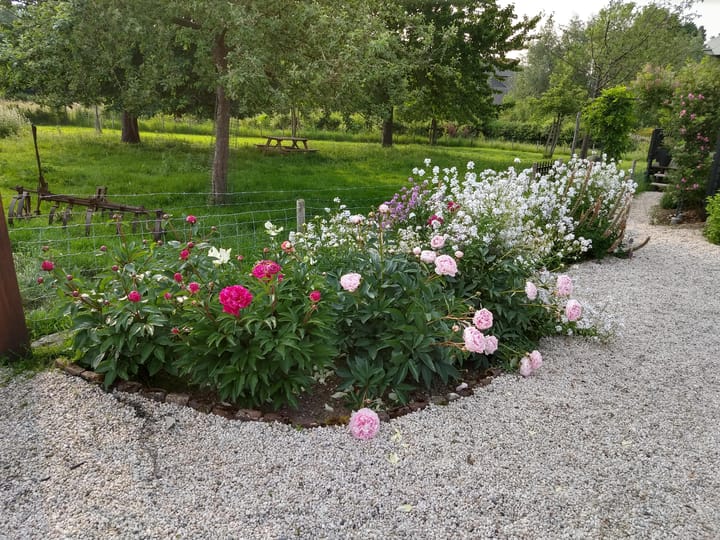 Foto 81 van Commandeurstraat 26