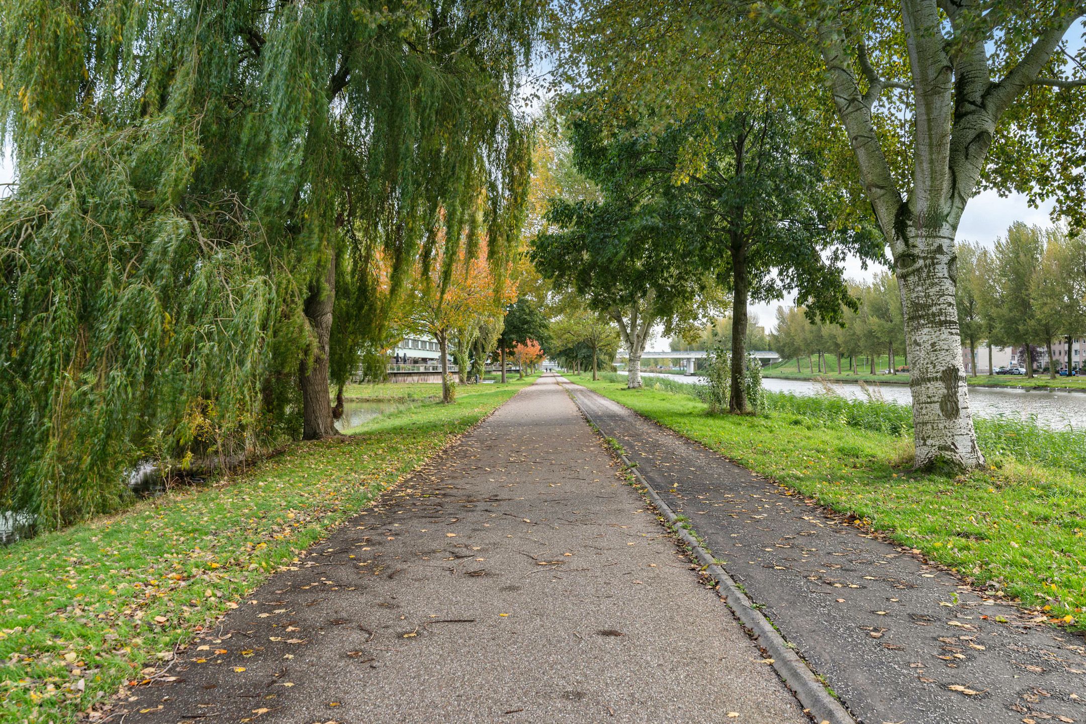 Foto 39 van Raoul Dufystraat 8