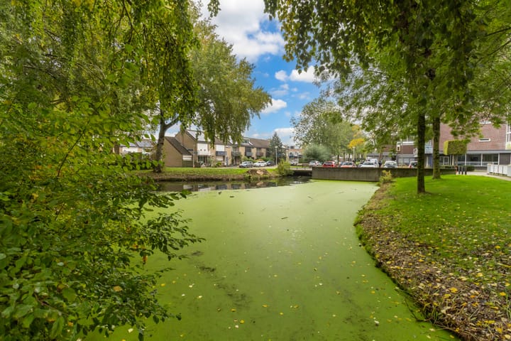 Foto 37 van P.S. Gerbrandystraat 14