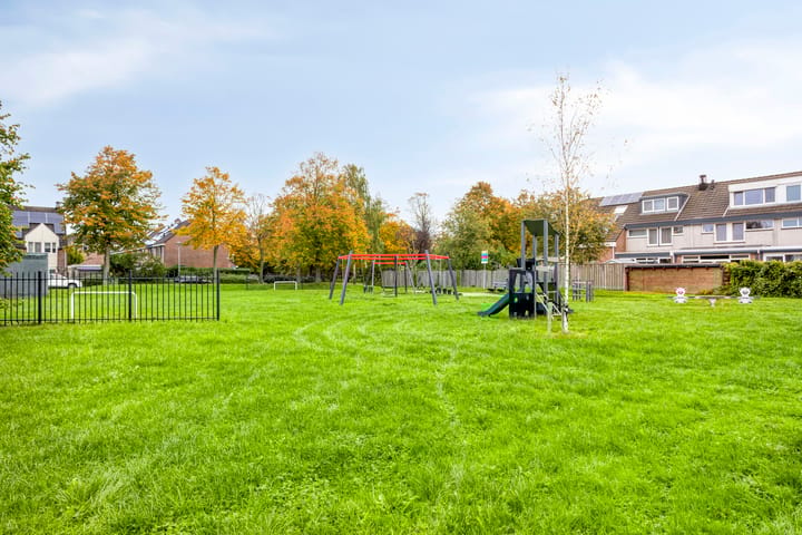 Foto 28 van Ridderspoor 10