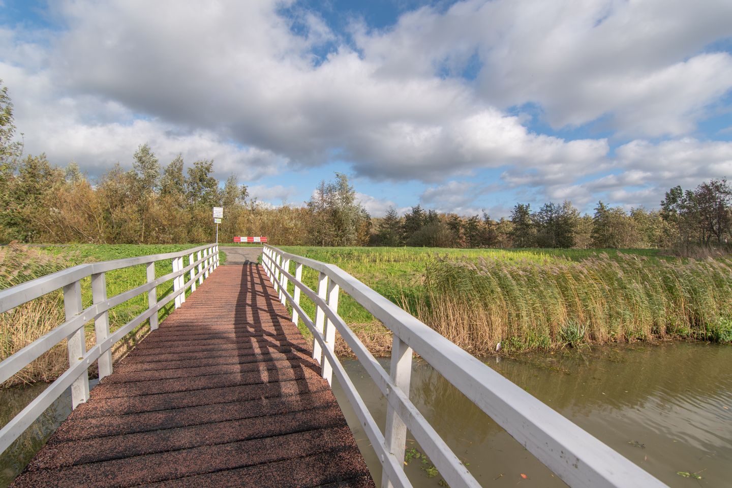 Foto 35 van Hekelingenstraat 32