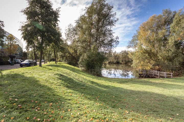 Foto 50 van Schout Dicbierlaan 51