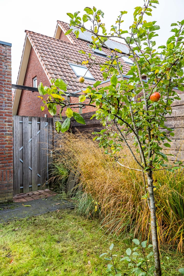 Foto 43 van Snip 137