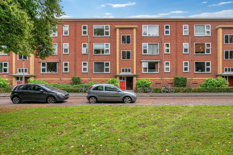 Pioenstraat thumbnail