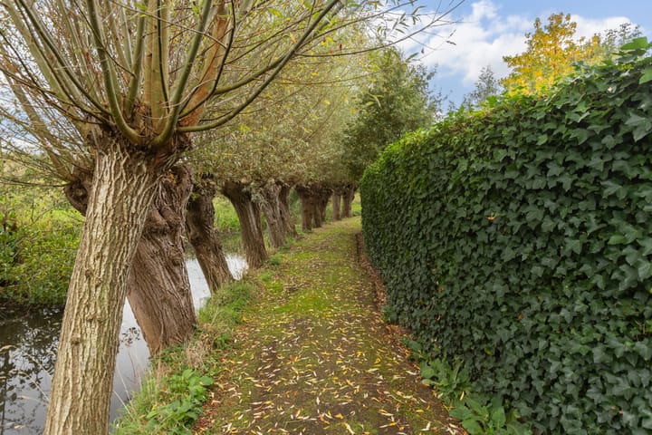 Photo 25 of Steinsedijk 43-A