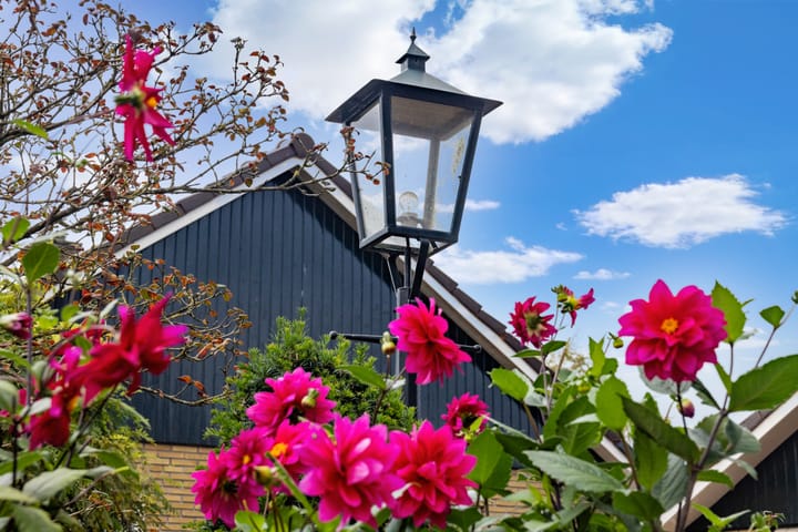 Foto 24 van Peppellaan 19