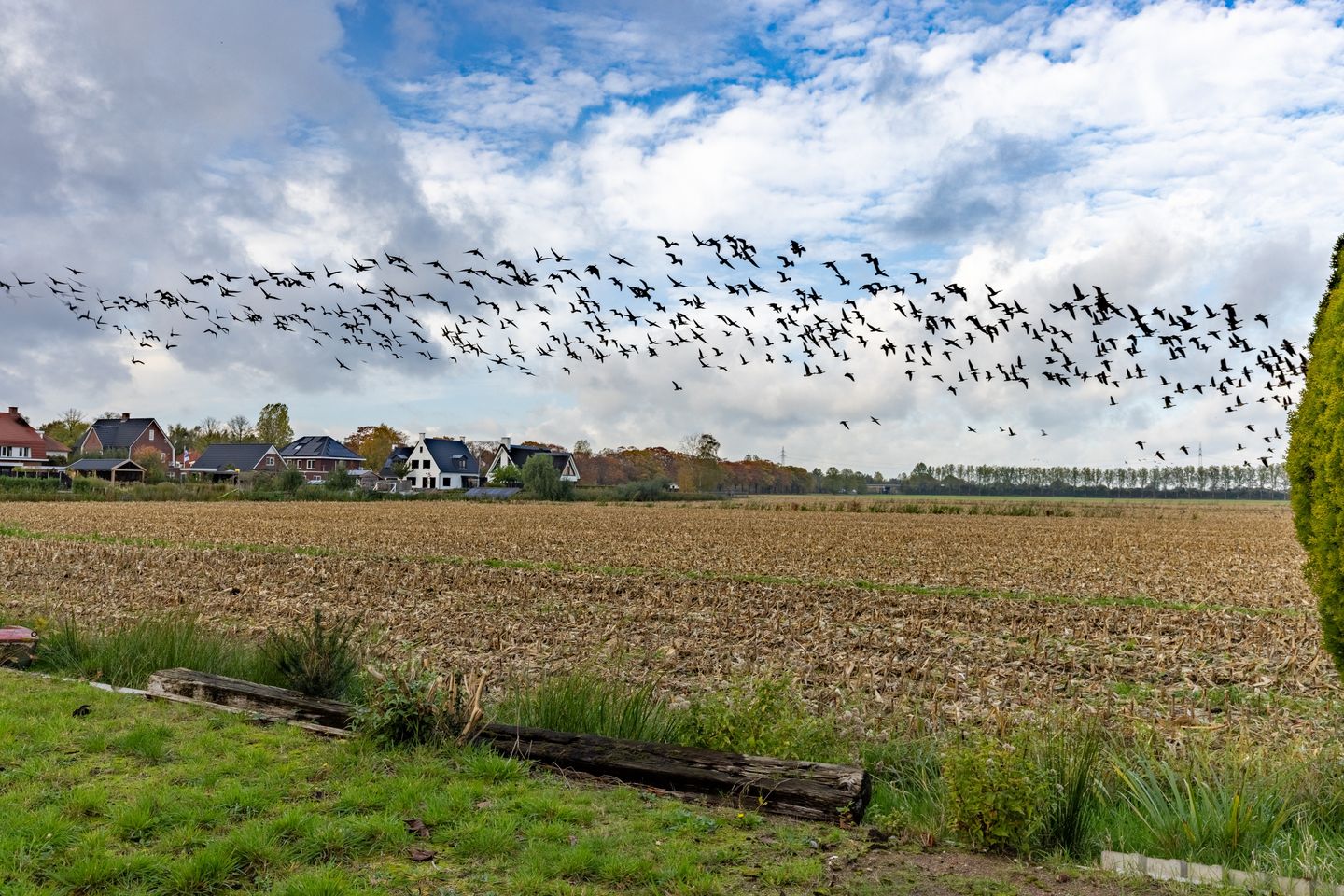 Foto 25 van Peppellaan 19