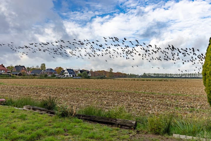 Foto 25 van Peppellaan 19