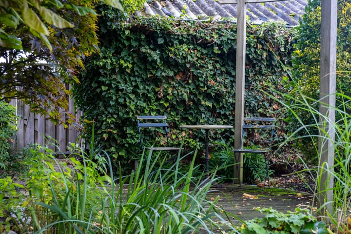 Foto 36 van Peppellaan 19