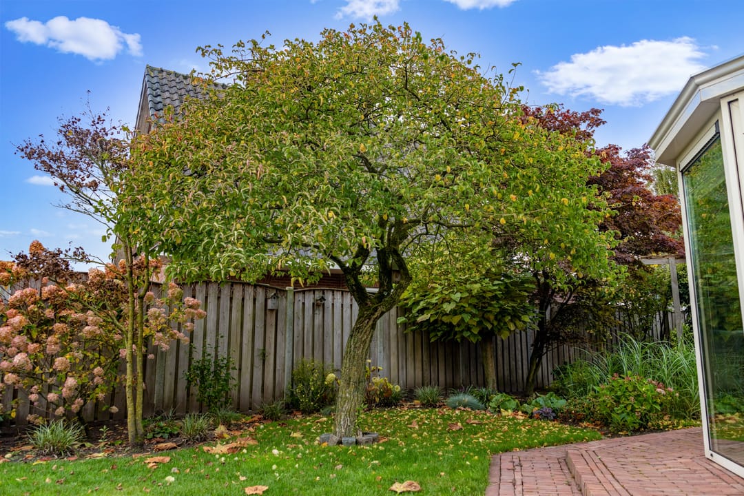 Foto 37 van Peppellaan 19