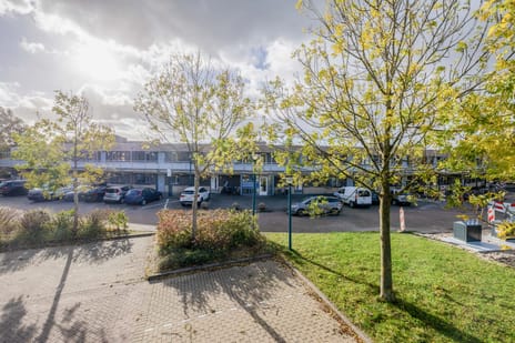 undefined main image