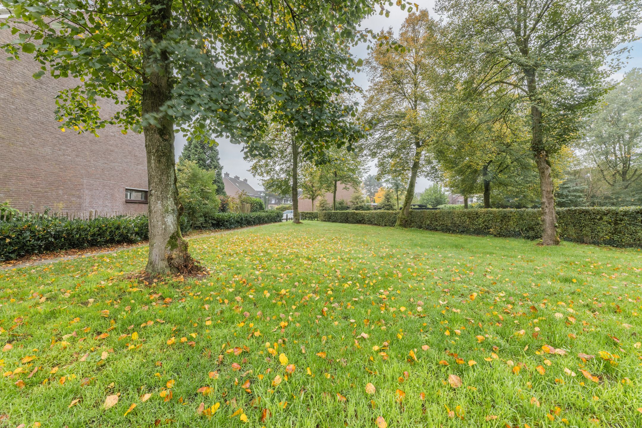 Foto 30 van Zandweg 12