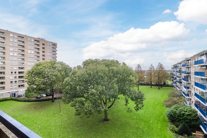 Foto 3 van Aert van Neslaan 509