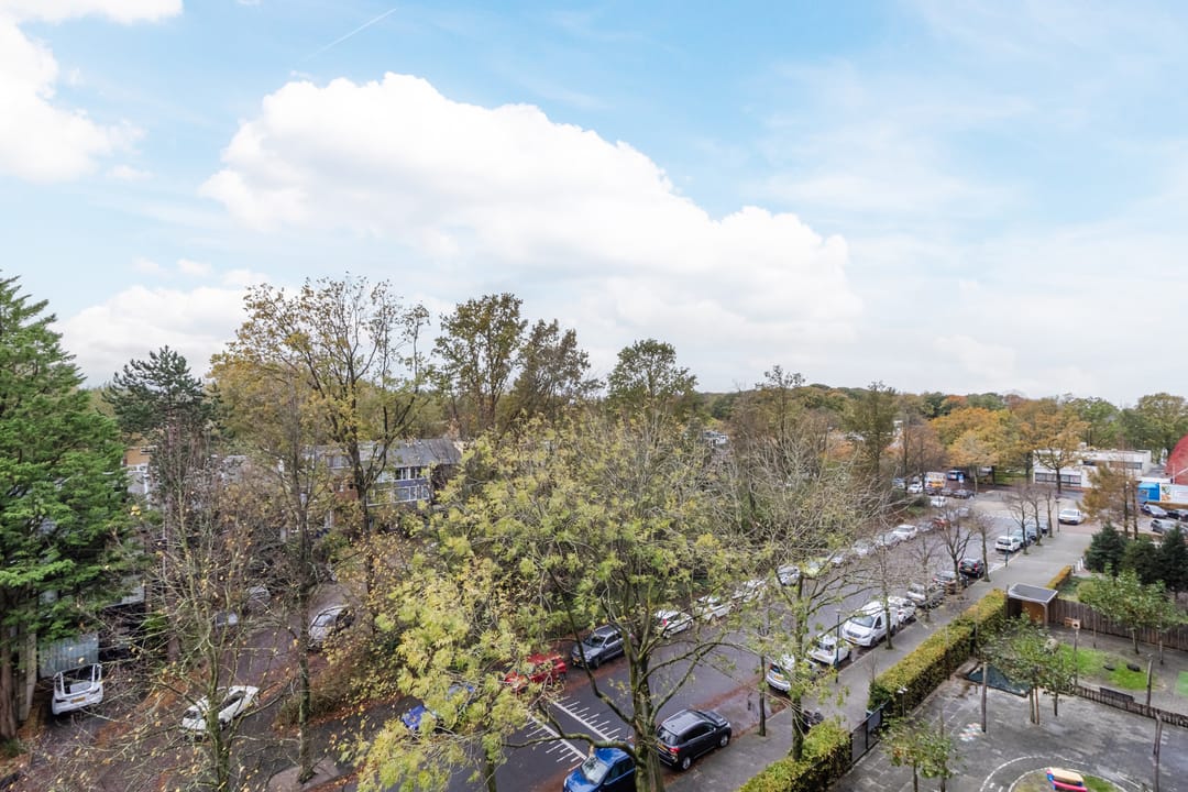 Foto 22 van Aert van Neslaan 509