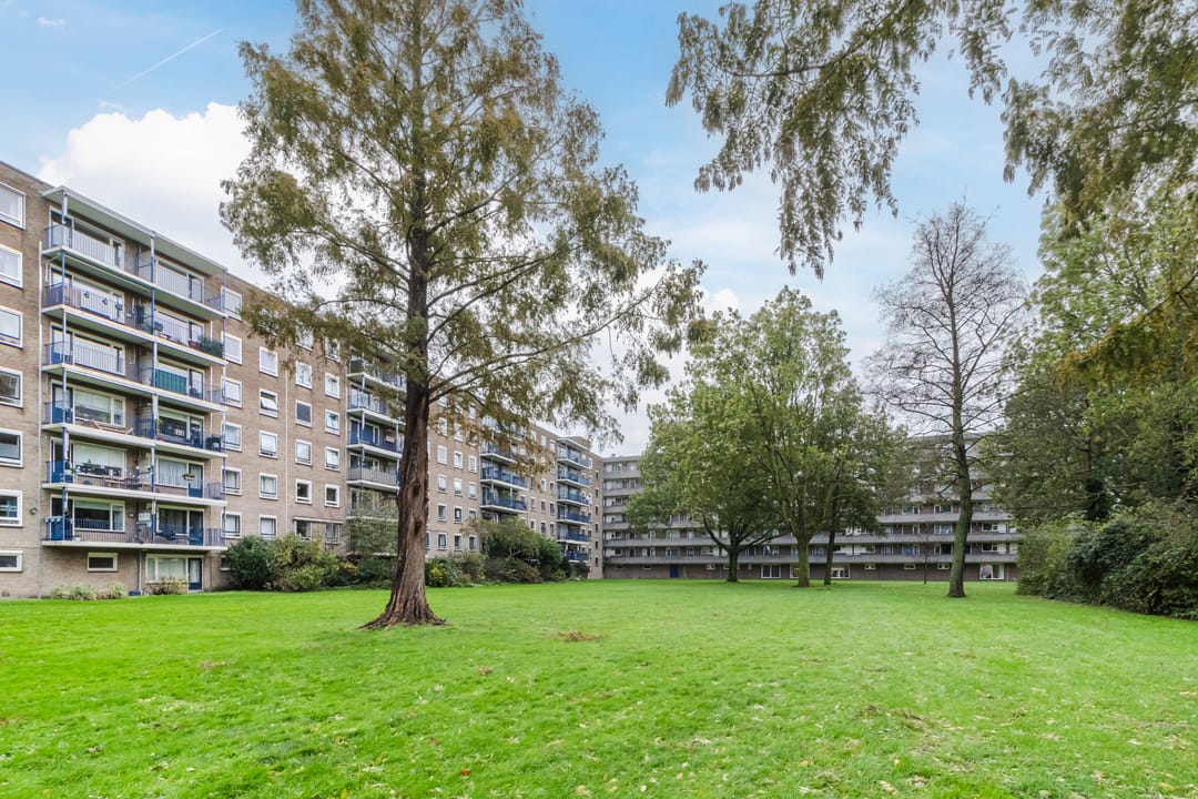 Foto 26 van Aert van Neslaan 509