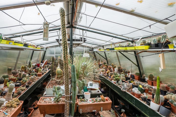 Photo 67 of Sportlaan 32