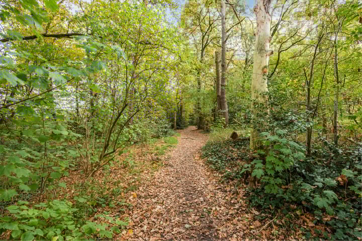 Photo 85 of Sportlaan 32