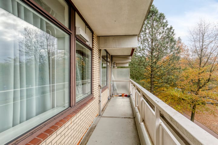 Foto 5 van de Koppele 253