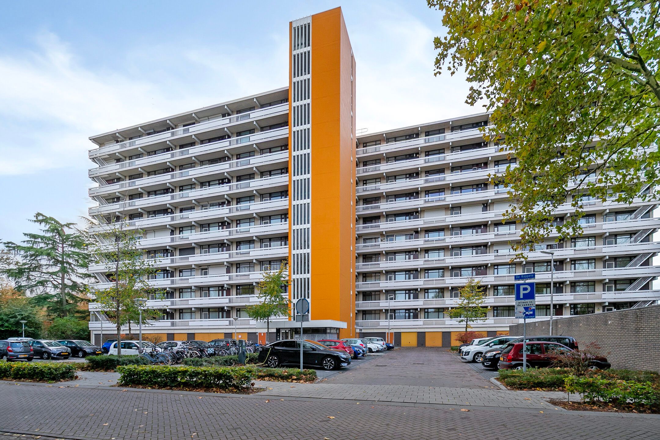 Foto 6 van de Koppele 253