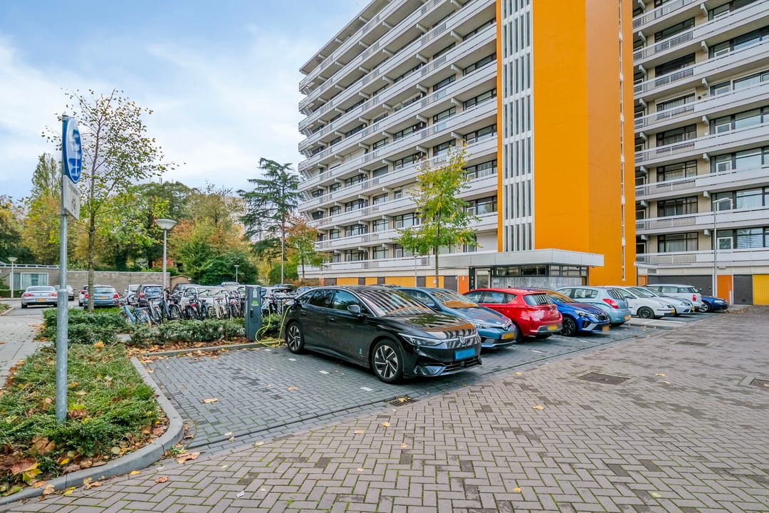 Foto 7 van de Koppele 253