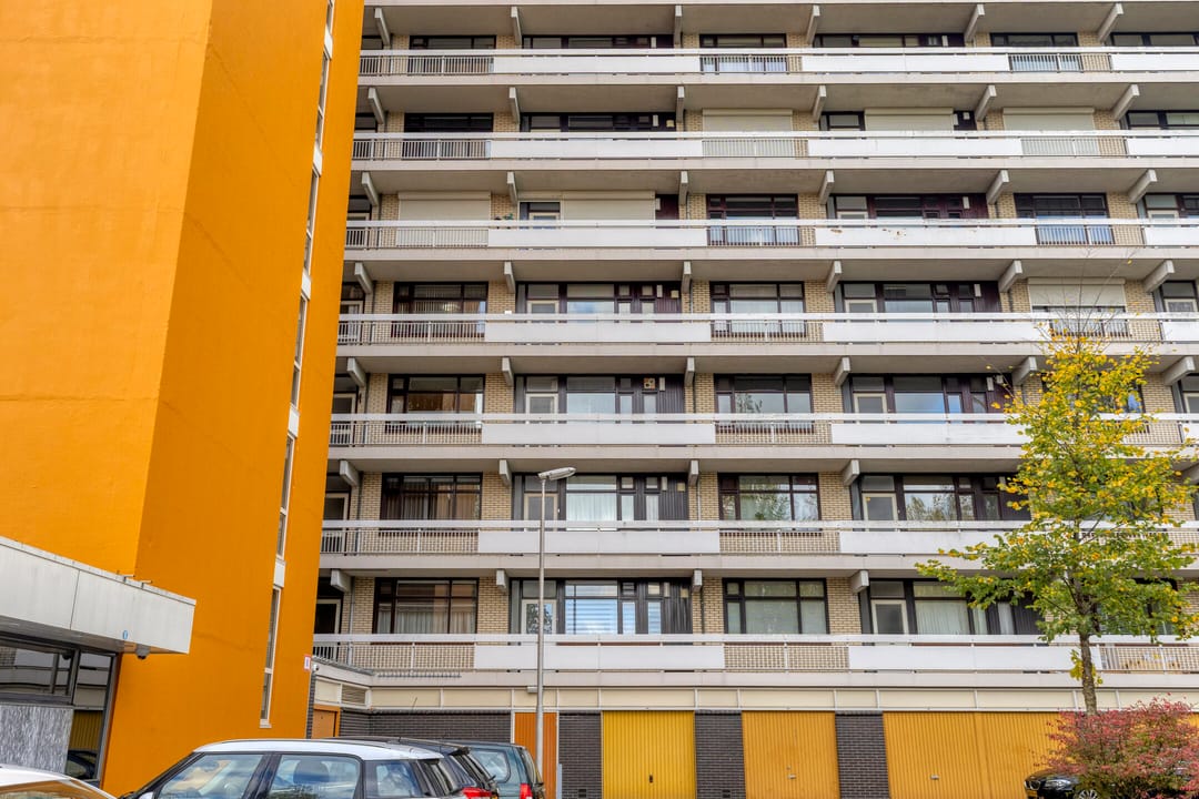 Foto 8 van de Koppele 253