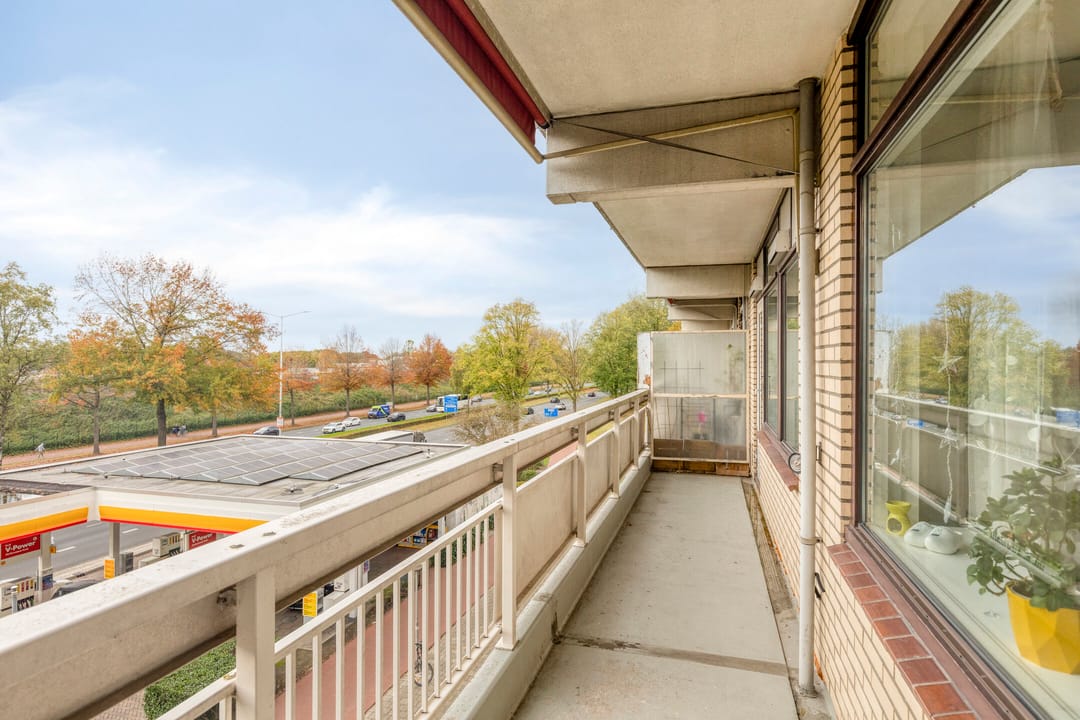 Foto 31 van de Koppele 253