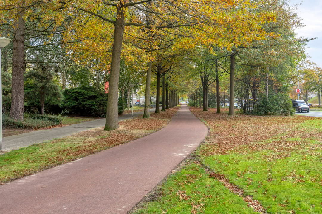 Foto 37 van de Koppele 253