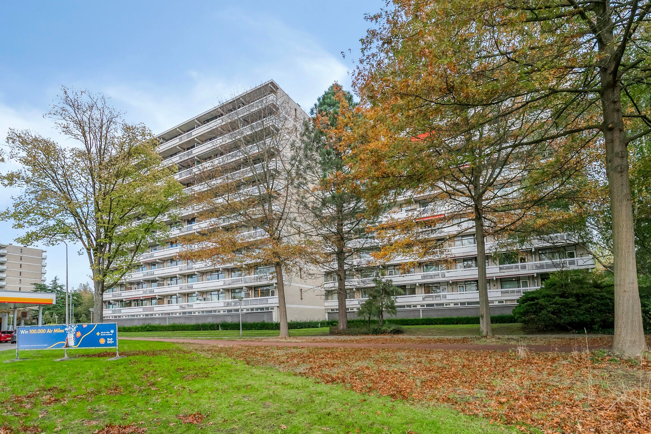 Foto 39 van de Koppele 253