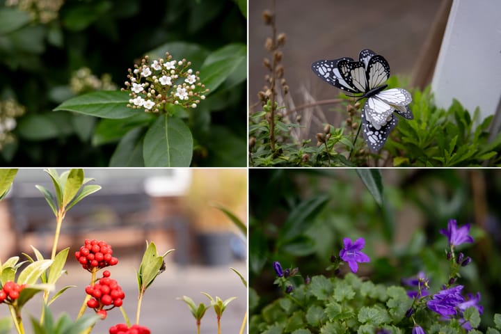 Foto 47 van Ravenstraat 30