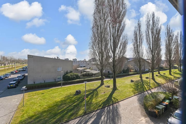 Foto 54 van Marjoleinveld 1