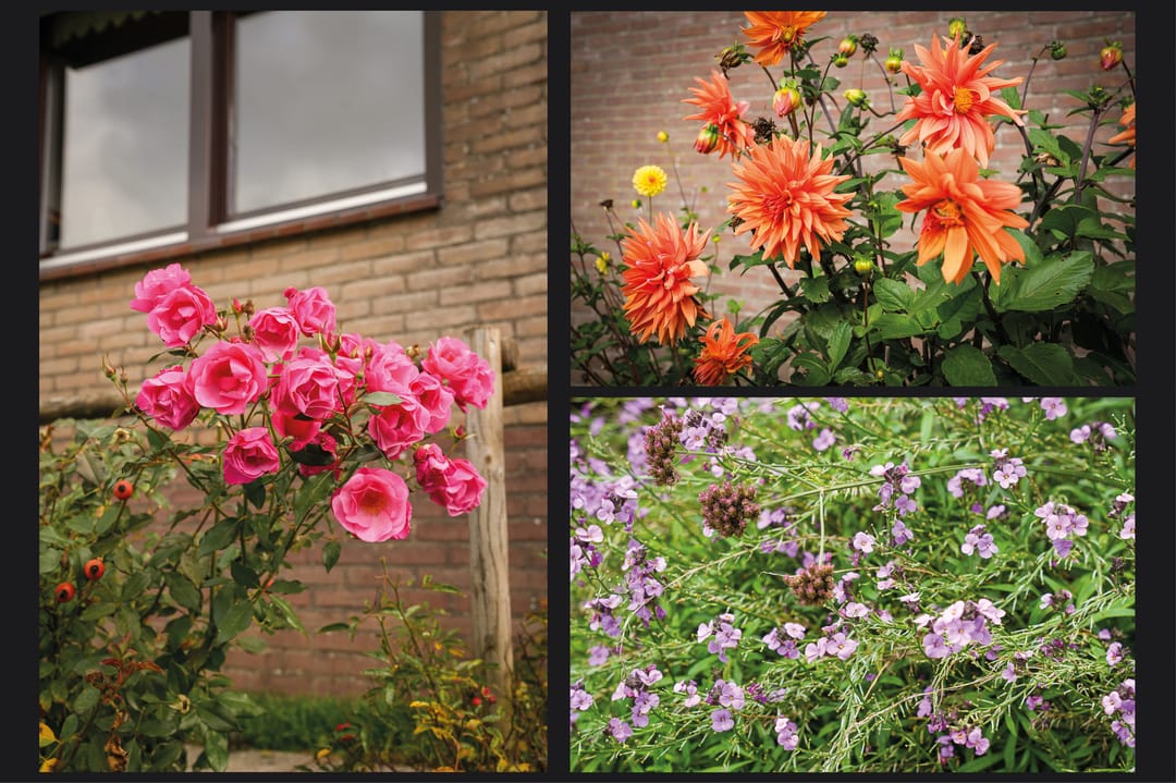 Foto 38 van Achterstraat 5